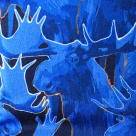 Moose