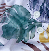 Monstera