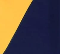 Navy/Yellow