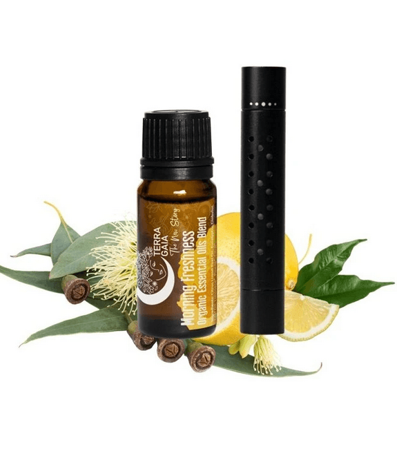 Osvežilec zraka za avto - difuzor set z Morning Freshness Terra Gaia